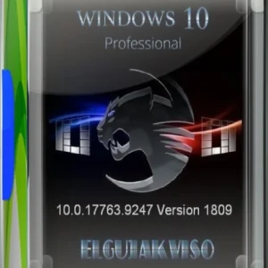 Windows 10 Pro (Version 1809) (x64) Elgujakviso Edition [Ru]