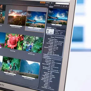 Adobe Bridge 2026