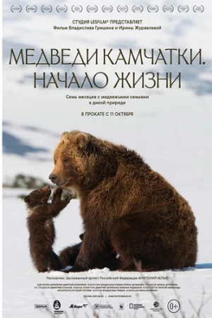 Медведи Камчатки. Начало жизни